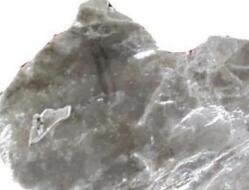 У2013-2017ԭĸ_ĸƬMڔyӋclչڅ