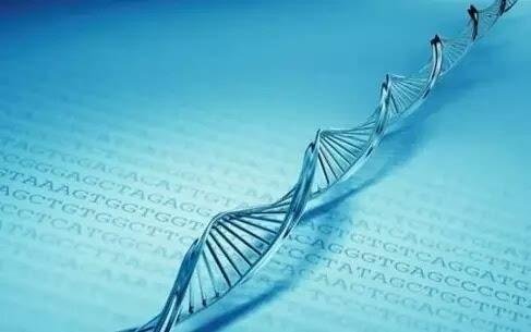 пԺL(yng)l(f)F(xin)๦\{w