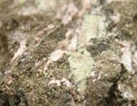 Vϡ2018ȃ(rn)L(zhng)233.59%1.02|Ԫ