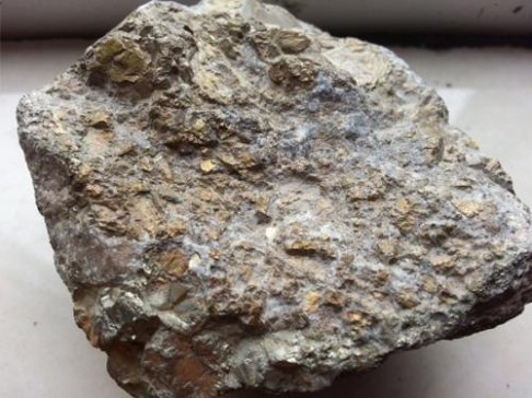 ӡAntam˾һ懵VʯaС220f