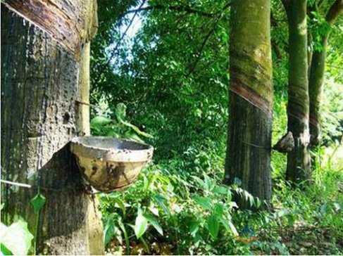 ԲŰ ӡ2019Ȼza½15%