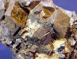 y:ӡڽL ȫ10%懹RLU