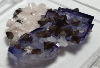 °l(f)F(xin)1290fΞʯVaVͬrF(xin)