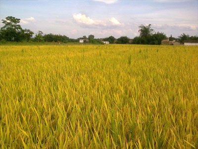 Ո󣺇ɫxCИIFԸ^ИIlչ