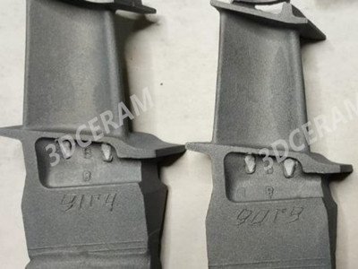 3Dӡl懻ߜغϽ~ƬմоҎģã3DCERAMcmٿƺ