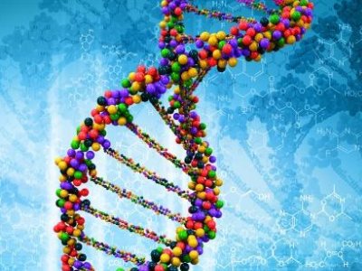 ʯˎһL3 ُl(f)ˎI(y)M̼}ԭˎI