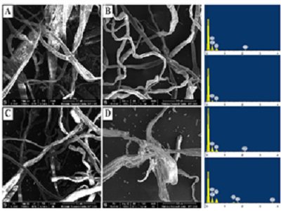 ÏUYԴlͮawSøоȡMչ