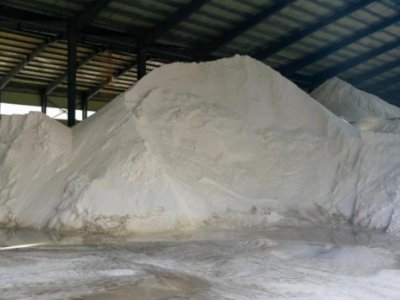 2021ȫʯӢѲ{(dio)С֮ɰ