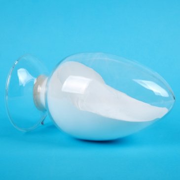 P²ϯ2021մɼgcaI߷Փ