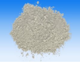 мtdϯ2021մɼgcaI߷Փ