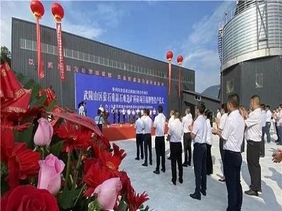 մׂΞʯؾʯxVĿʽͶa