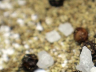 ״ΰlFἃ߼ʯӢɰrYԴ