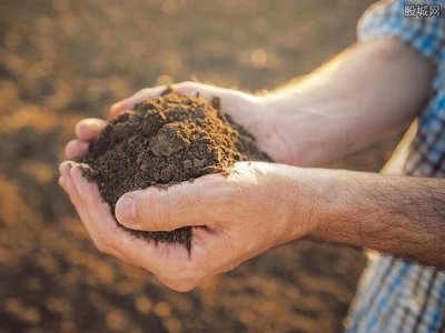 ɱ졢F(xin)؛yҒ ϡrϝq