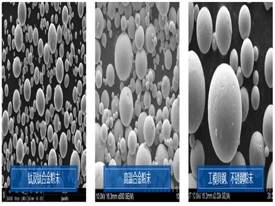 3DӡИIãк~ث@3|ԪͶY