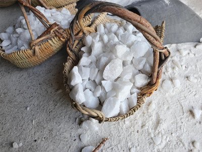 20|ĿF ߼ʯӢɰƂĿ@^