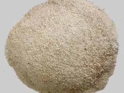 x(00868)cx(00968)ӆ2023ɰNۼُfh