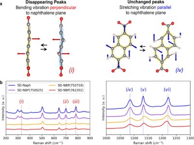 SоNatureӿ늵MOFؓO