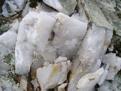 ʯӢİ˷NVIͼ;һԸ壡