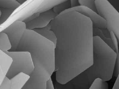 o늻W(xu)Դ_(ki)죬Ď׷N摪(yng)