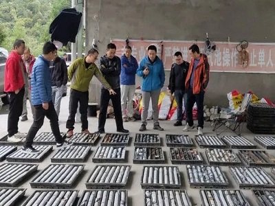 ʯīa(chn)I(y)܈󣺳;|(zh)ʯīV6N5ἃg(sh)a(chn)I(y)Bͻ