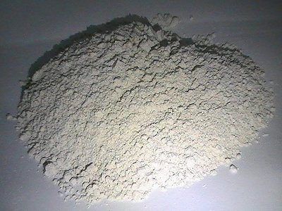 2024ǽٵVƌWgʾ4lչҕ