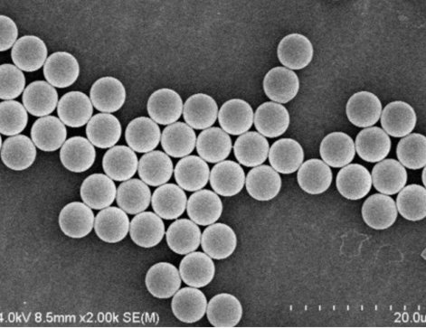 ΢׼(j)(bio)(zhn)|(zh)Ƚ(yng)cxָ