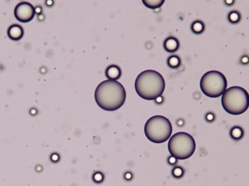 ƾ֌ֲУ(zhn)ɇ(gu)(ni)װl(f)PSD>2ֲȘ(bio)(zhn)|(zh)