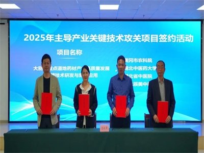 ˎyֶ෽ٴeɽˎȫaIvw