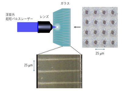 vM_20|W(xu)ɹ_l(f)弤΢׼ӹ¼g(sh)