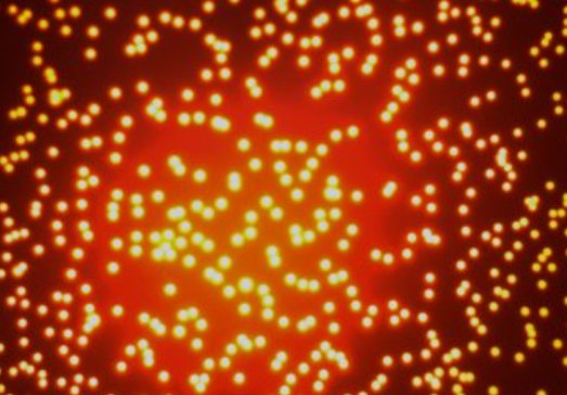 (gu)(ni)װl(f)ȫ渲wJJF 1665-2017ʽ(x)xУ(zhn)Ҏ(gu)Ę(bio)(zhn)|(zh)ذ