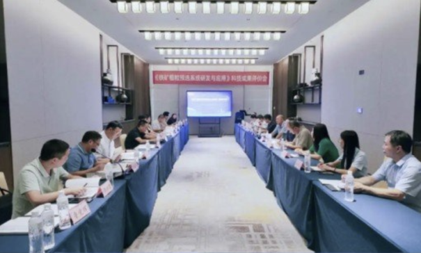 Aش늼F(tun)FVxļg(sh)J(rn)顰HI(lng)*ˮƽ