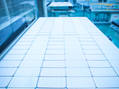 ¡GܿƼɷc11s2025ھŌȫʯӢչ[