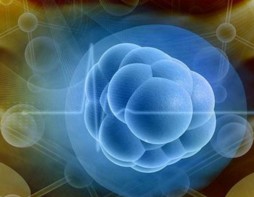 m(zhng)2021²Ϯa(chn)I(y)a(chn)ֵͻ1000|Ԫ