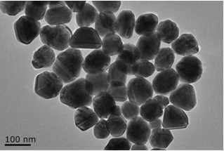 wСһ̶ȺʬFɫcW|P