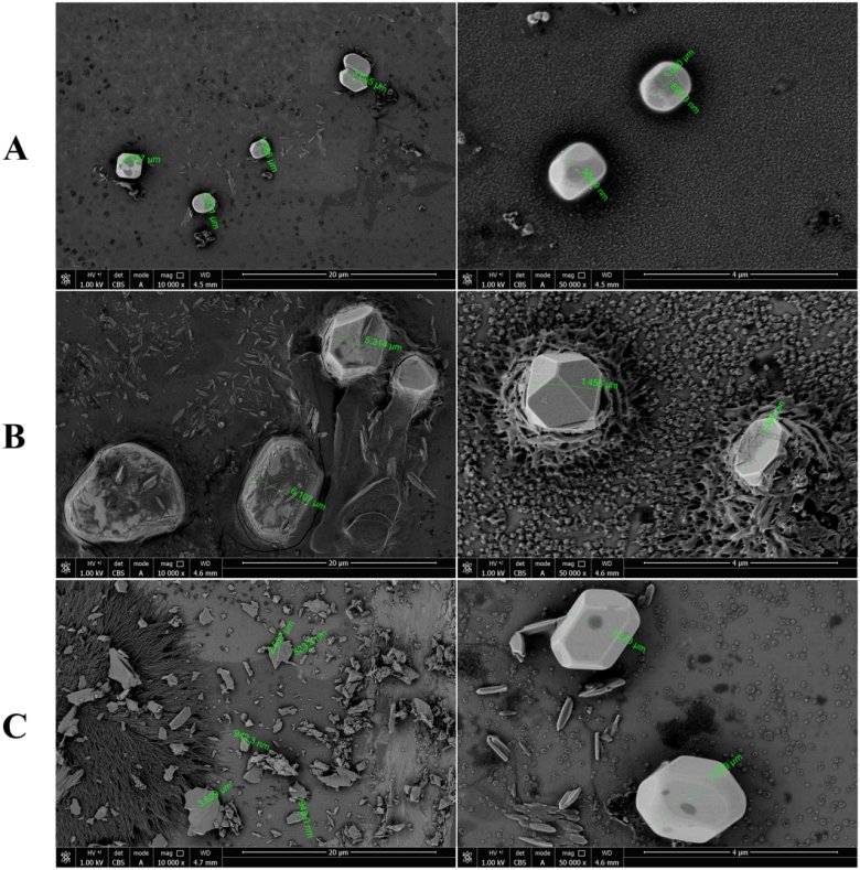 135925_542957_gsdt.png 135925_542957_gsdt.png