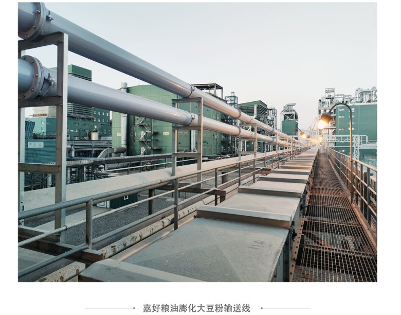 110539_047821_gsdt.png image.png