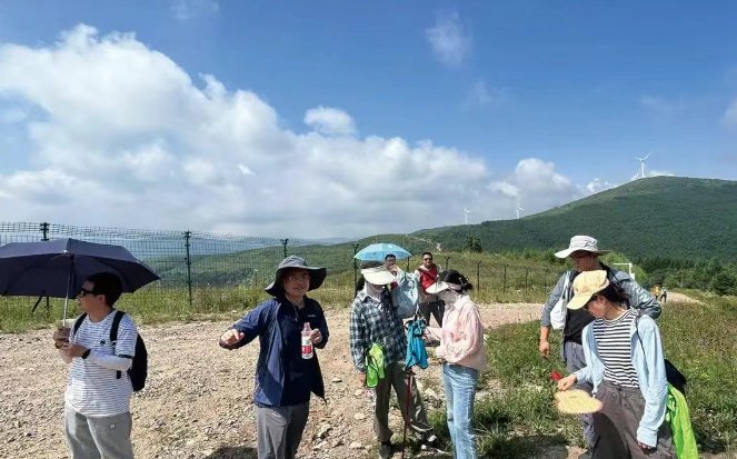 171814_130004_gsdt.png 171814_130004_gsdt.png